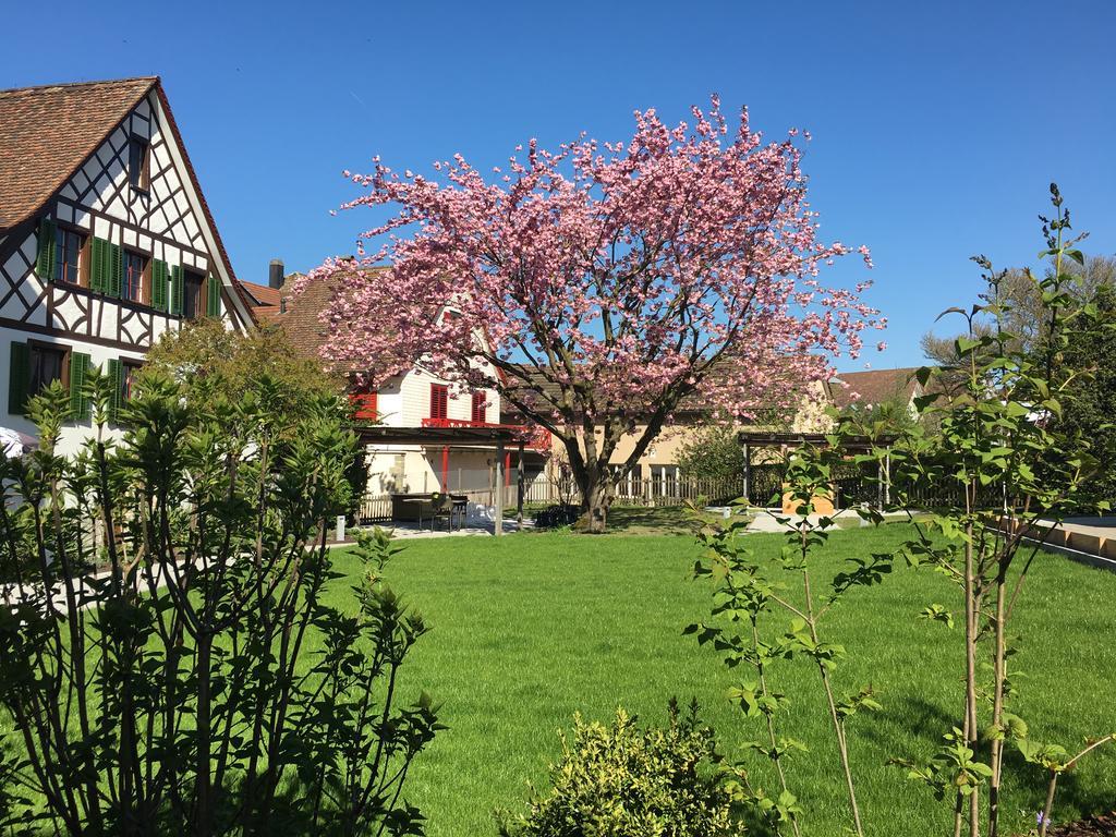 Ferienhotel Bodensee Berlingen ภายนอก รูปภาพ